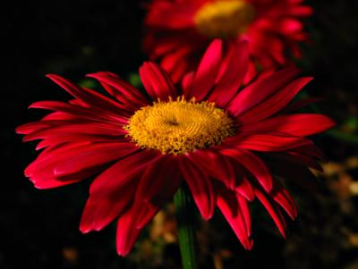 shine on me!