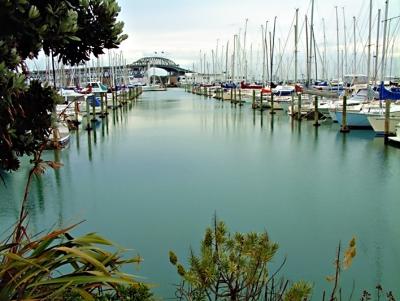 aukland_marina
