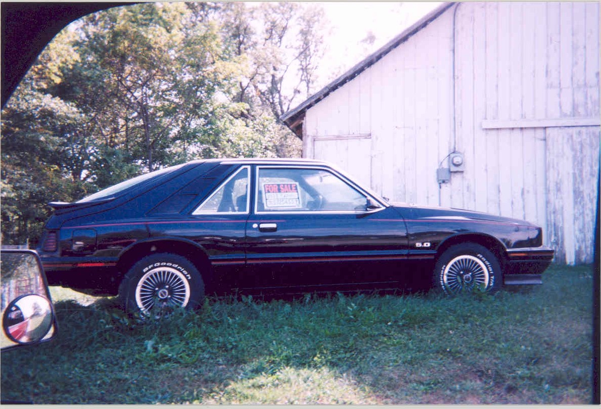 83 Capri in the weeds