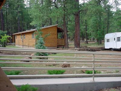cabins at Mormon lake