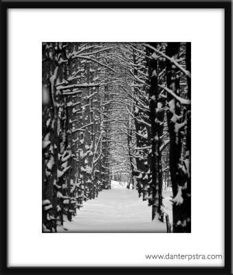Winter Hallway