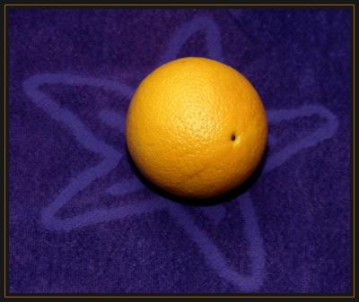 Orange Starfish by:<br><b>Richard R