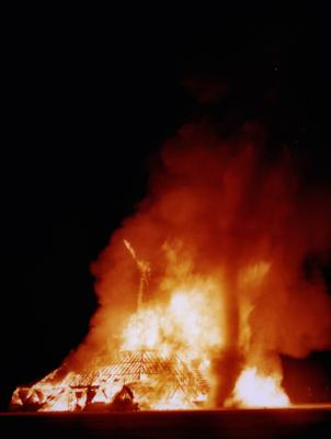 man03 burn8 devils tail.jpg