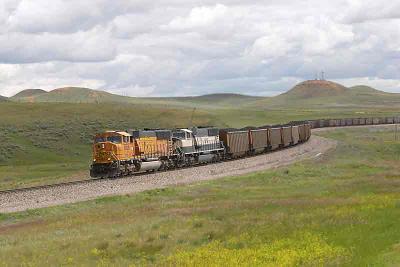 u39/paulv99k/medium/35010470.CRW_2073.jpg
