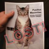 Lost Cat 02-05-2004