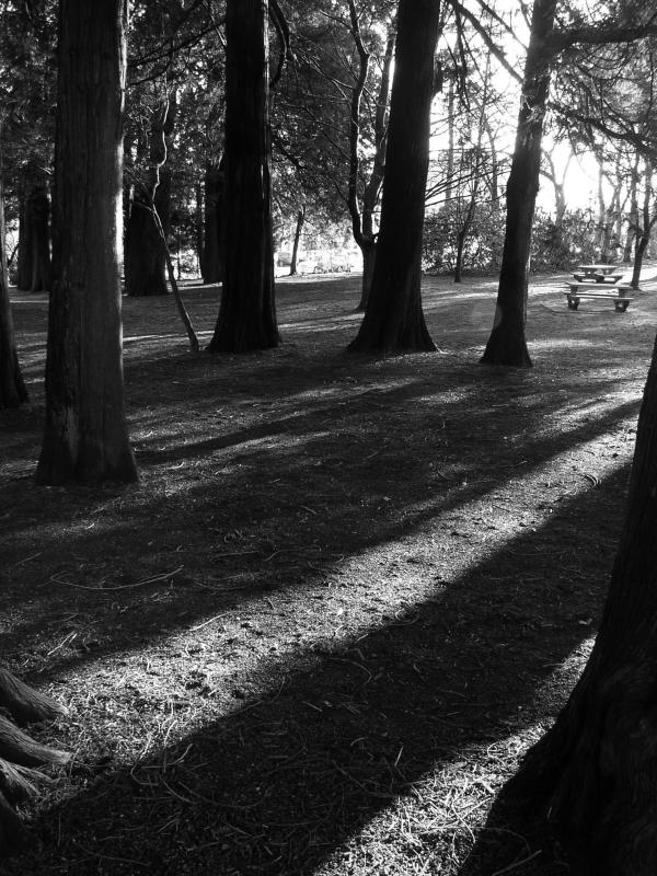 P2040041.jpg