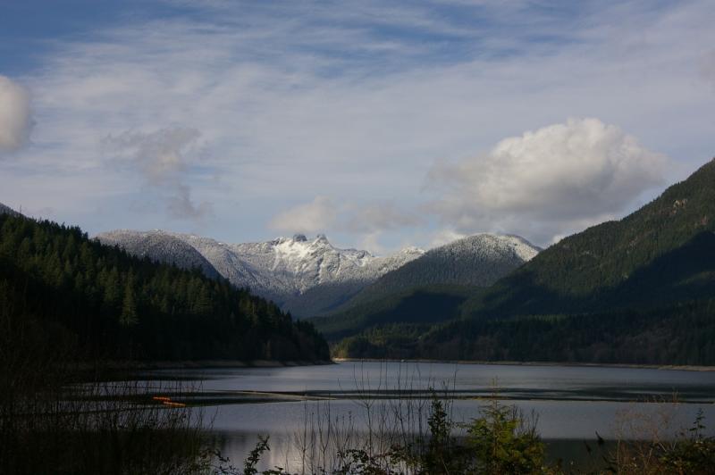 IMGP0314.jpg