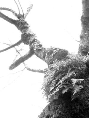 P2030013A.jpg