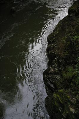 IMGP0390.jpg