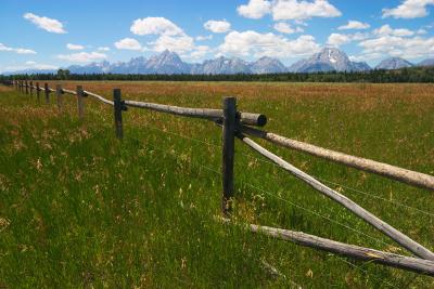 Fence