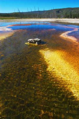 Geyser  Pool