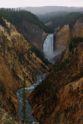 Lower Falls Yellowstone