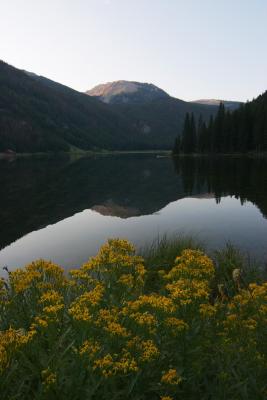 Grand Tetons / Yellowstone