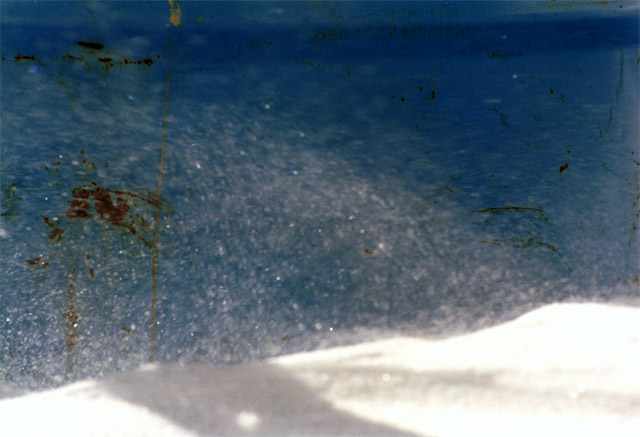 park1.jpg