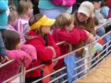 Watching the pig races