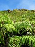 Soufriere, ascension10.jpg