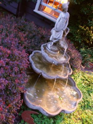 PICT5961.JPG