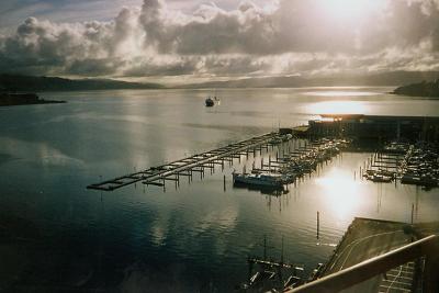 Wellington Harbour in the Morning