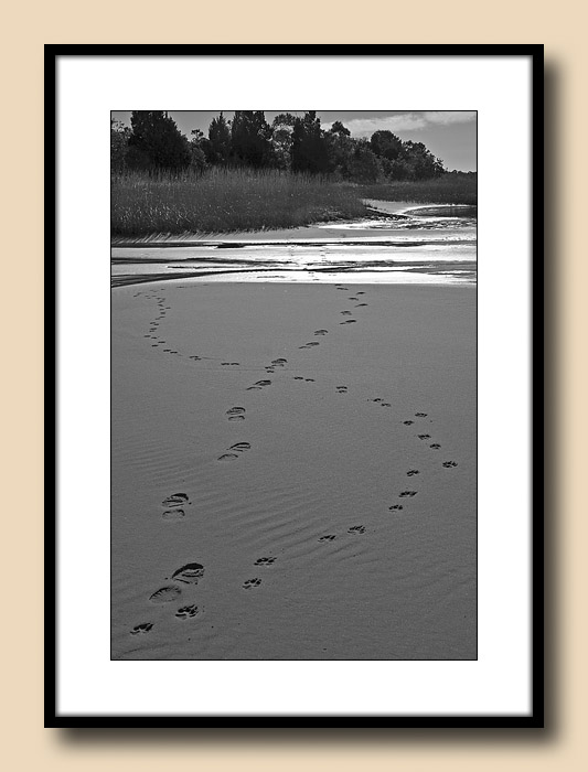 Footprints, Man and Beast