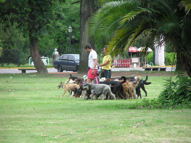 P1070017.JPG