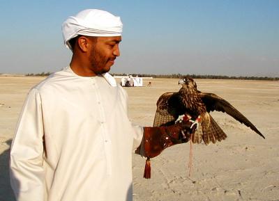 u39/pinicola/medium/25545720.falconer4.jpg