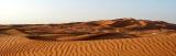 Past Big Red towards Hatta, we drive off into the sand -- many of us!  Different groups go to different camps.