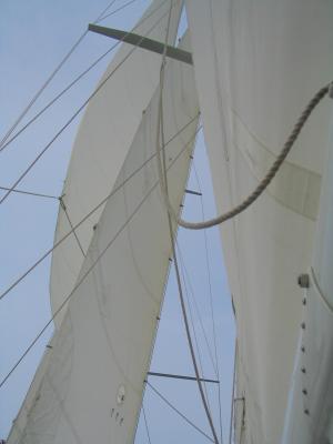 u39/pippo5/medium/32435724.sailing2.jpg