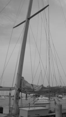u39/pippo5/medium/32435726.sailing4.jpg