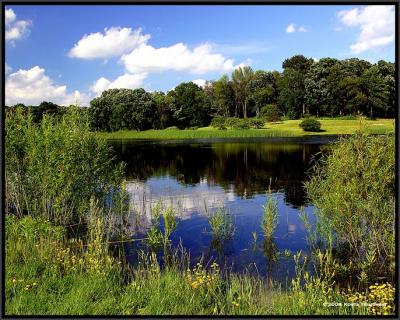 Crabapple Lake