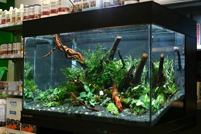 1 hour after set up - Workshop - Klle-Zoo Karlsruhe
