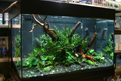 1 hour after set up - Workshop - Klle-Zoo Karlsruhe