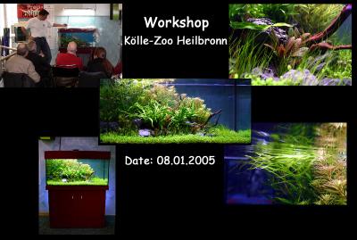 Aquatic Plant Aquarium - Workshop's