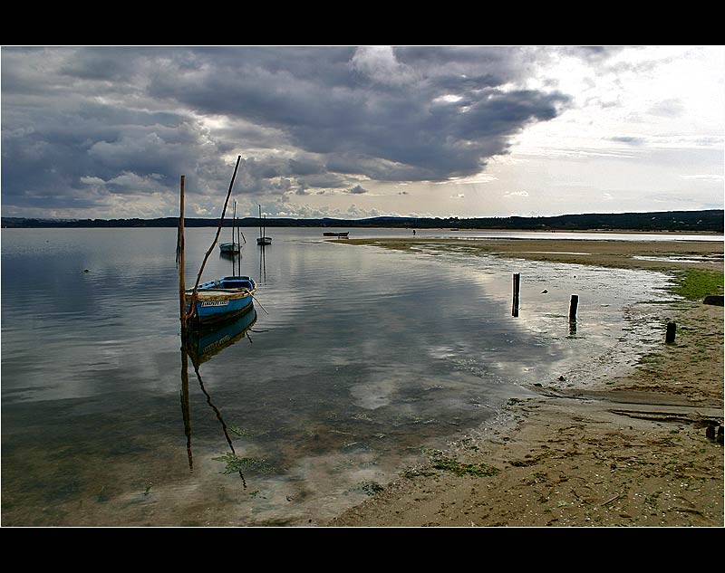 26.02.2005 ... In the lagoon of Foz do Arelho - Portugal