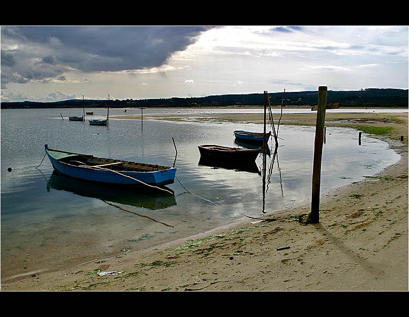 26.02.2005 ... In the lagoon of Foz do Arelho - Portugal