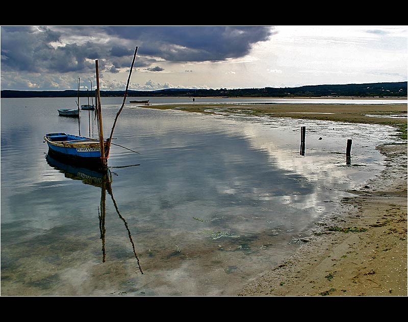 26.02.2005 ... In the lagoon of Foz do Arelho - Portugal