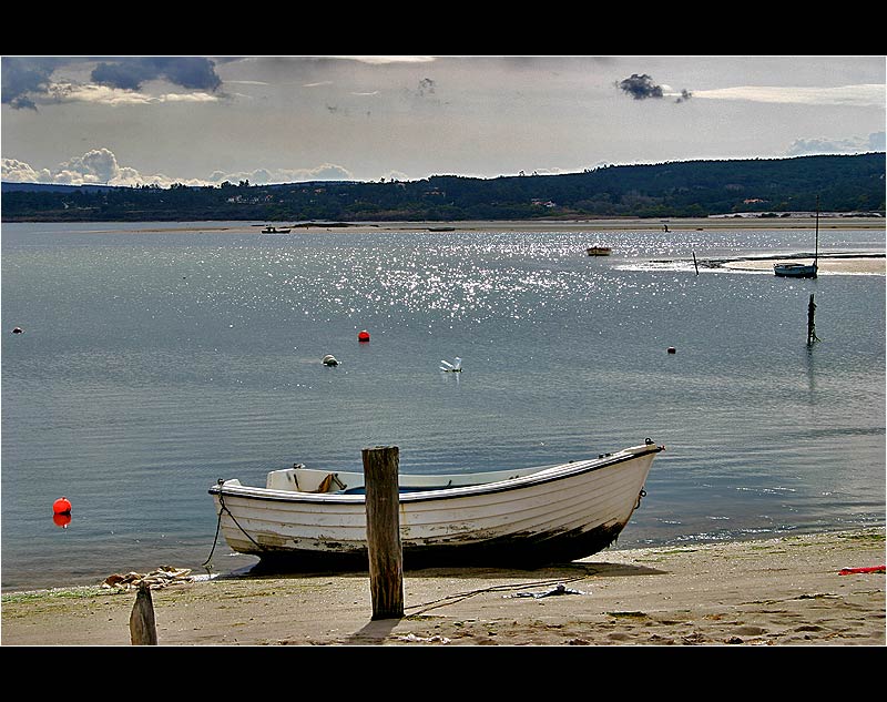 26.02.2005 ... In the lagoon of Foz do Arelho - Portugal