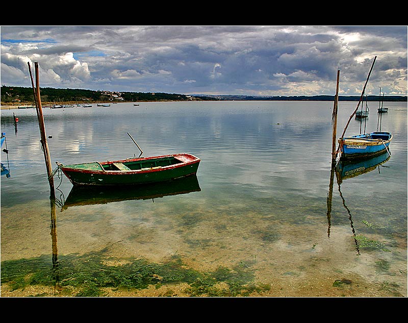 26.02.2005 ... In the lagoon of Foz do Arelho - Portugal