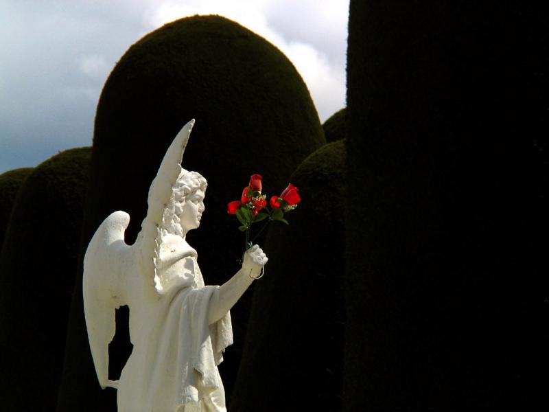Roses in Hand, City Cemetery, Punta Arenas, Chile, 2004