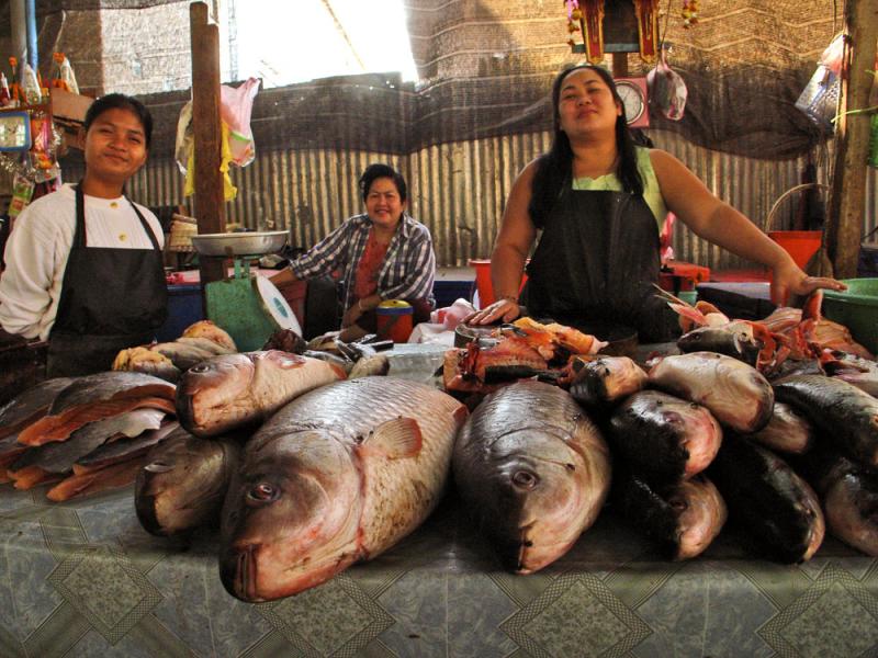 Fish Table, Morning Market, Vientiane, Laos, 2005