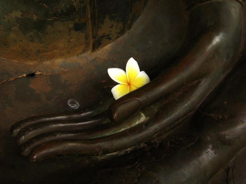 Offering, Vientiane, Laos, 2005