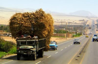 On the Pan American Highway, Trujillo, Peru