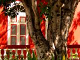 The Red House, Willemstad, Curacao, 2003