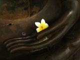 Offering, Vientiane, Laos, 2005