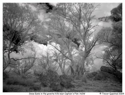 Infrared Photography