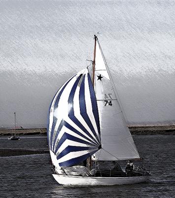 spinnaker5.jpg