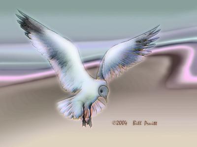 gull-10