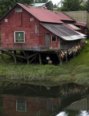 Along Hammer Slough.jpg