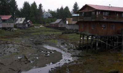 Hammer Slough low tide.jpg