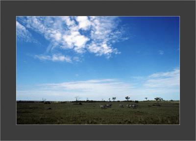 Samburu National Park