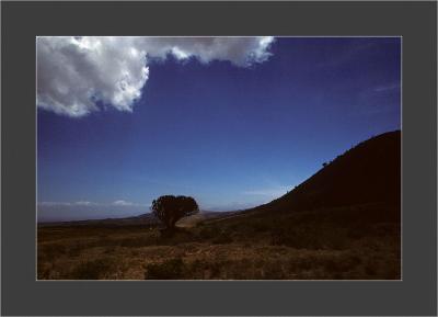 Samburu National Park